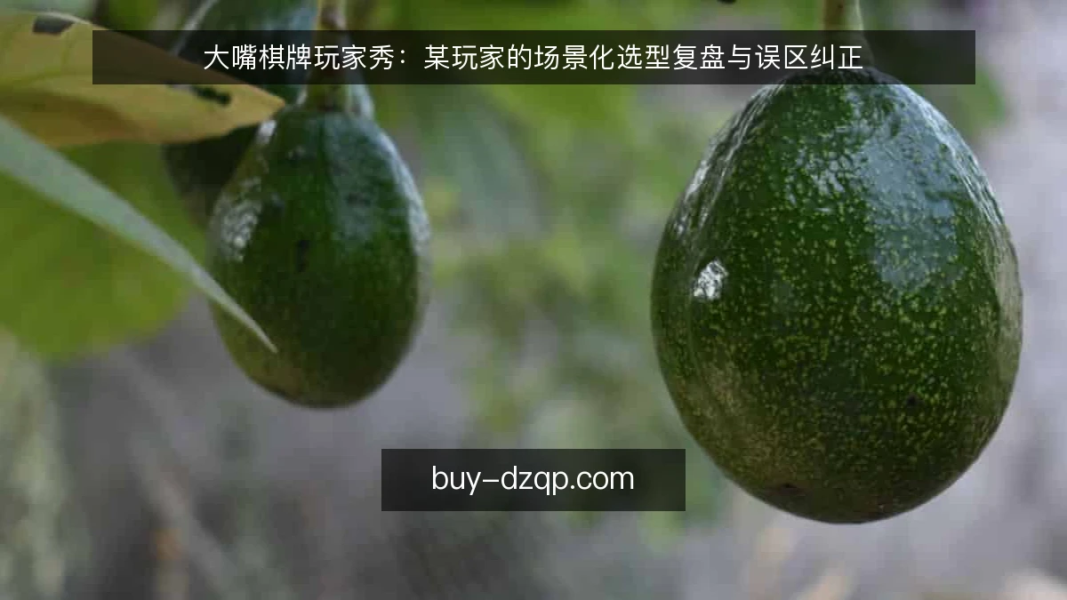大嘴棋牌玩家秀：某玩家的场景化选型复盘与误区纠正